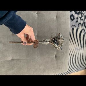 I hate Steve Singer platinum dipped rose